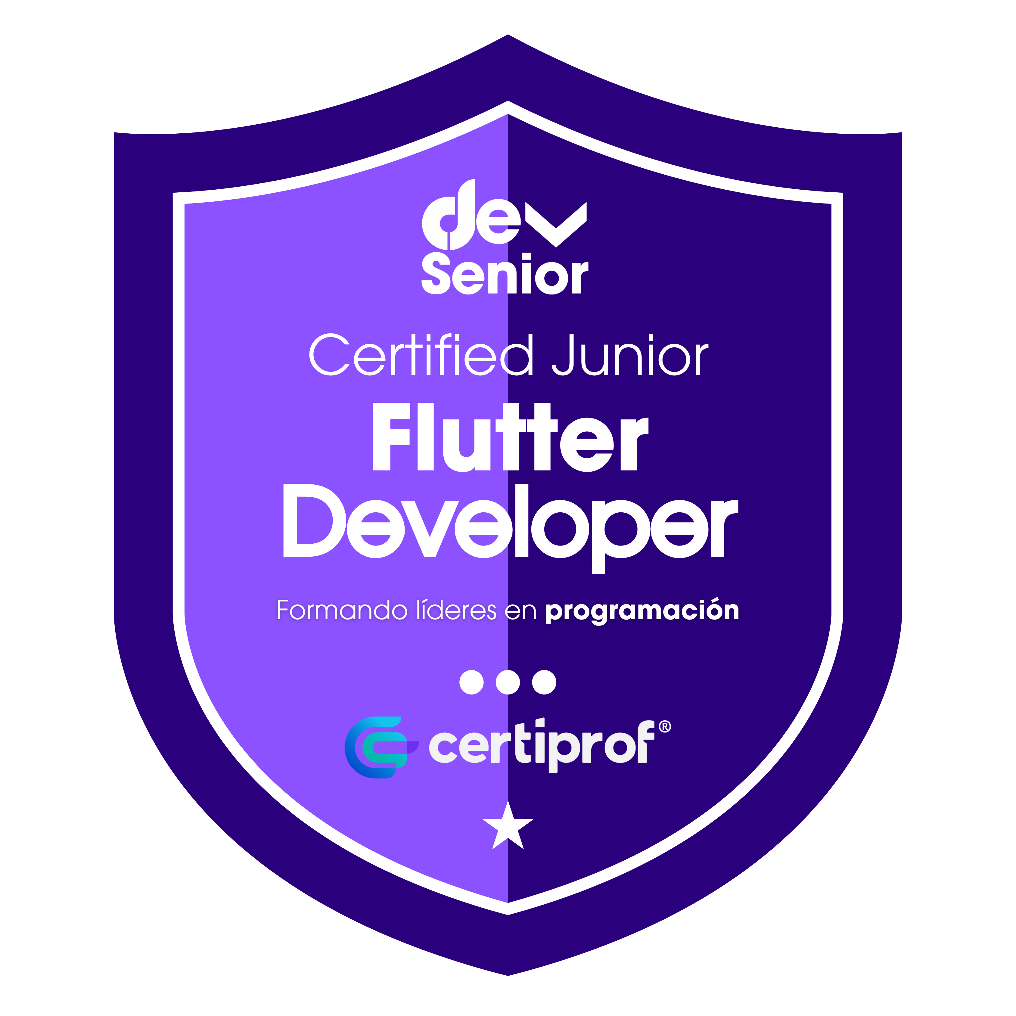 Insignia Flutter Junior Developer